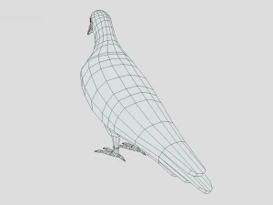Low Poly Cartoon Pigeon 3D Model
