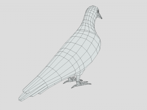 Low Poly Cartoon Pigeon Modello 3D