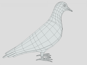 Low Poly Cartoon Pigeon Modello 3D