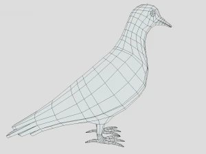 Low Poly Cartoon Pigeon 3D Model