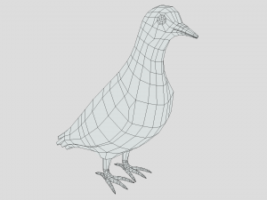 Low Poly Cartoon Pigeon Modello 3D