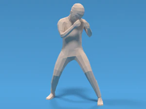 Low Poly Boxing Kid 3D Model