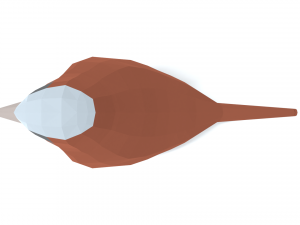 Low Poly Cartoon Sparrow Modelo 3D