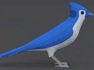 Low Poly Cartoon Blue Jay V 3D Model