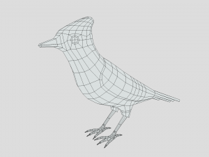 Low Poly Cartoon Blue Jay V 3D Model