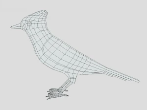 Low Poly Cartoon Blue Jay V 3D Model