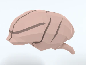 Laag Poly Cartoon Aap Hersenen 3D Model