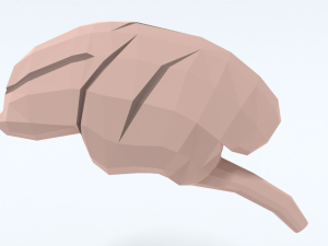 Low Poly Cartoon Monkey Brain Modello 3D