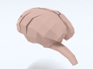 Low Poly Cartoon Monkey Brain 3D Model