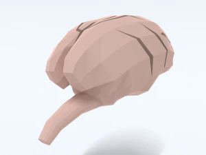 Low Poly Cartoon Monkey Brain 3D Model