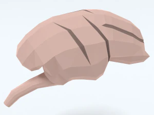 Low Poly Cartoon Monkey Brain 3D Model