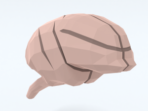 Low Poly Cartoon Monkey Brain Modello 3D