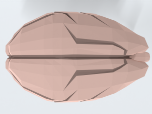 Low Poly Cartoon Monkey Brain Modello 3D