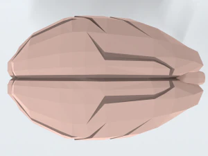 Low Poly Cartoon Monkey Brain 3D Model