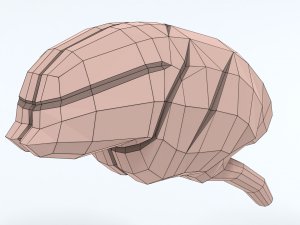 Low Poly Cartoon Monkey Brain Modello 3D