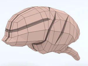 Low Poly Cartoon Monkey Brain 3D Model