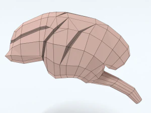 Low Poly Cartoon Monkey Brain 3D Model