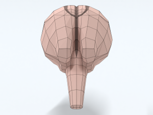 Low Poly Cartoon Monkey Brain Modello 3D