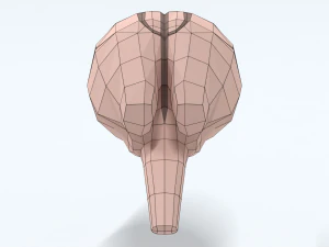 Low Poly Cartoon Monkey Brain 3D Model
