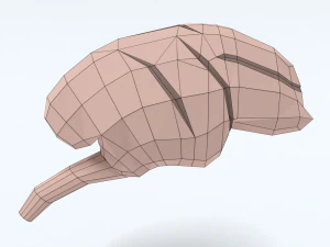 Low Poly Cartoon Monkey Brain 3D Model