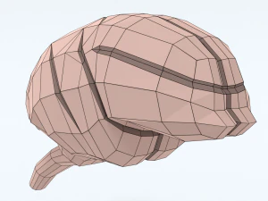 Low Poly Cartoon Monkey Brain 3D Model