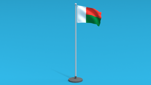 Low Poly Seamless Animated Madagascar Flag Model 3D .c4d .max .obj .3ds .fbx .stl .blend 