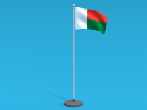 Low Poly Seamless Animated Madagascar Flag Modelo 3D