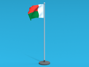 Low Poly Seamless Animated Madagascar Flag Model 3D