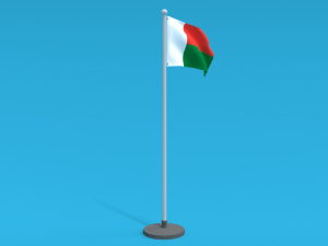 Low Poly Seamless Animated Madagascar Flag Model 3D