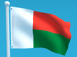 Low Poly Seamless Animated Madagascar Flag Model 3D