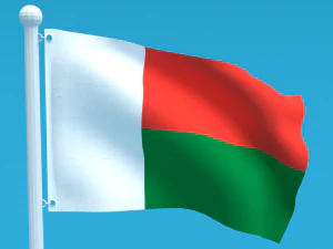 Low Poly Seamless Animated Madagascar Flag 3D Model
