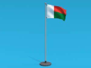 Low Poly Seamless Animated Madagascar Flag Model 3D