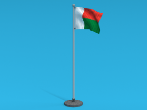 Low Poly Seamless Animated Madagascar Flag Model 3D