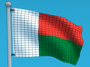 Low Poly Seamless Animated Madagascar Flag Model 3D