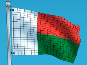Low Poly Seamless Animated Madagascar Flag 3D Model