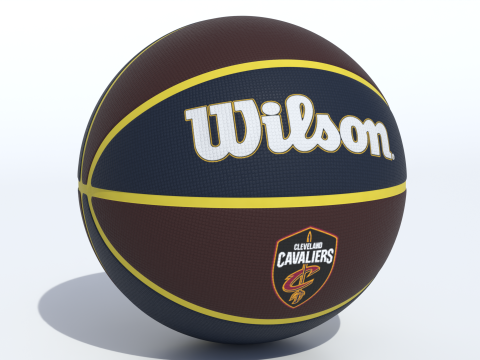 Wilson Cleveland Cavaliers Basketbal 3D Model