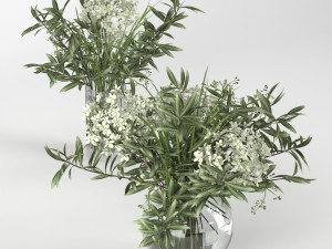 bouquet of hydrangea olive branch and eucalyptus 3D Model