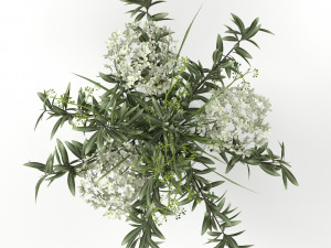 bouquet of hydrangea olive branch and eucalyptus 3D Модель