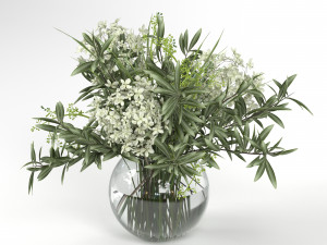 bouquet of hydrangea olive branch and eucalyptus 3D Модель