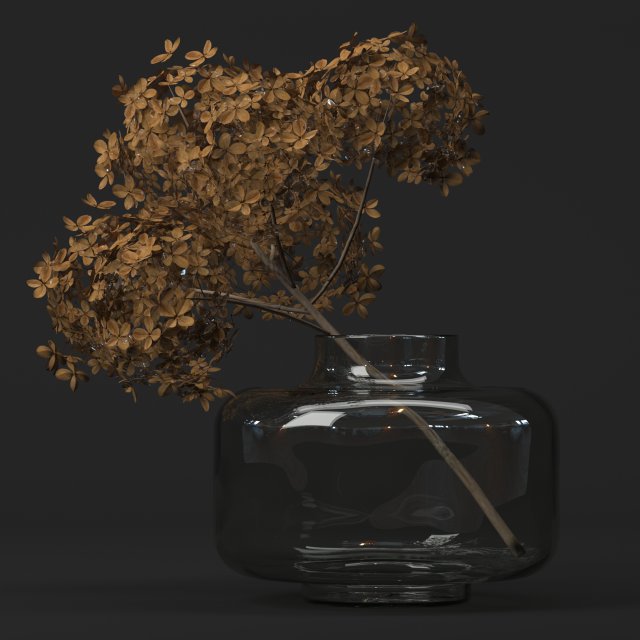 branch of dried hydrangea 3D Model .c4d .max .obj .3ds .fbx .stl .blend 