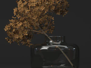 सूखे हाइड्रेंजिया की शाखा 3D मॉडल