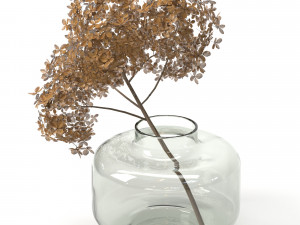 branch of dried hydrangea 3D Model