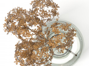 branch of dried hydrangea 3D Model