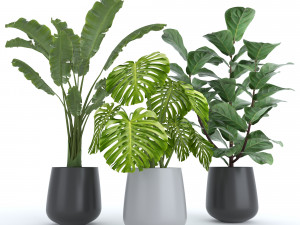 set of plants 3D 模型