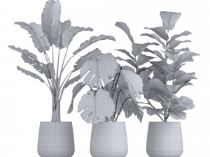 set of plants Modèle 3D