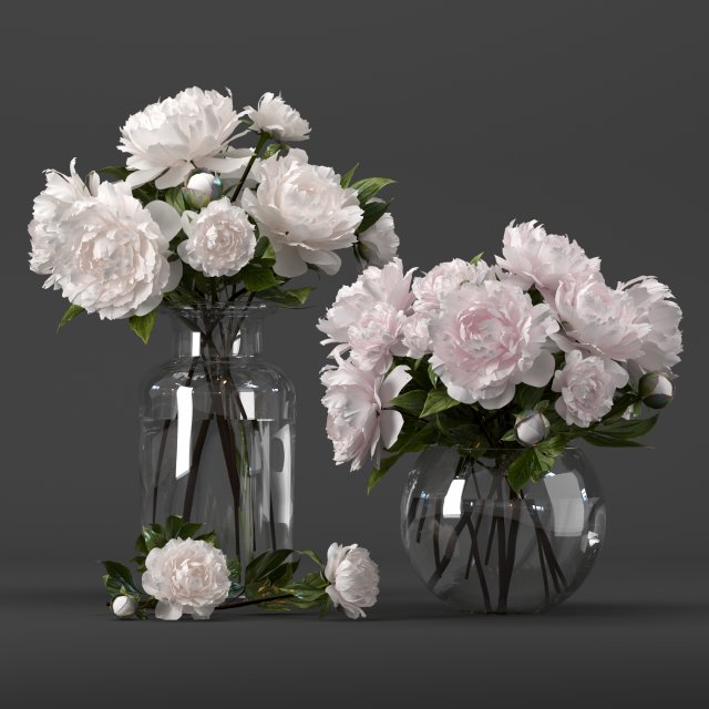 bouquet of white and pink peony Model 3D .c4d .max .obj .3ds .fbx .stl .blend 