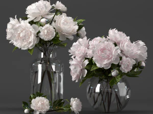 bouquet of white and pink peony 3D Model