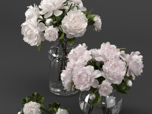 bouquet of white and pink peony Model 3D