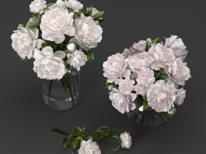 bouquet of white and pink peony Model 3D