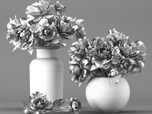 bouquet of white and pink peony Model 3D